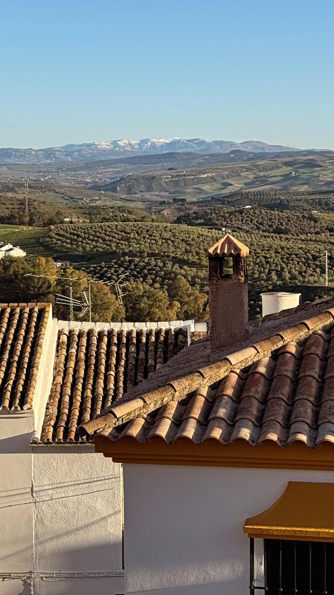 Lemon Tree Patio Villa Olvera Kültér fotó